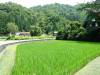 220 - 20160721 Day10 Takayama Shirakawago Kanazawa