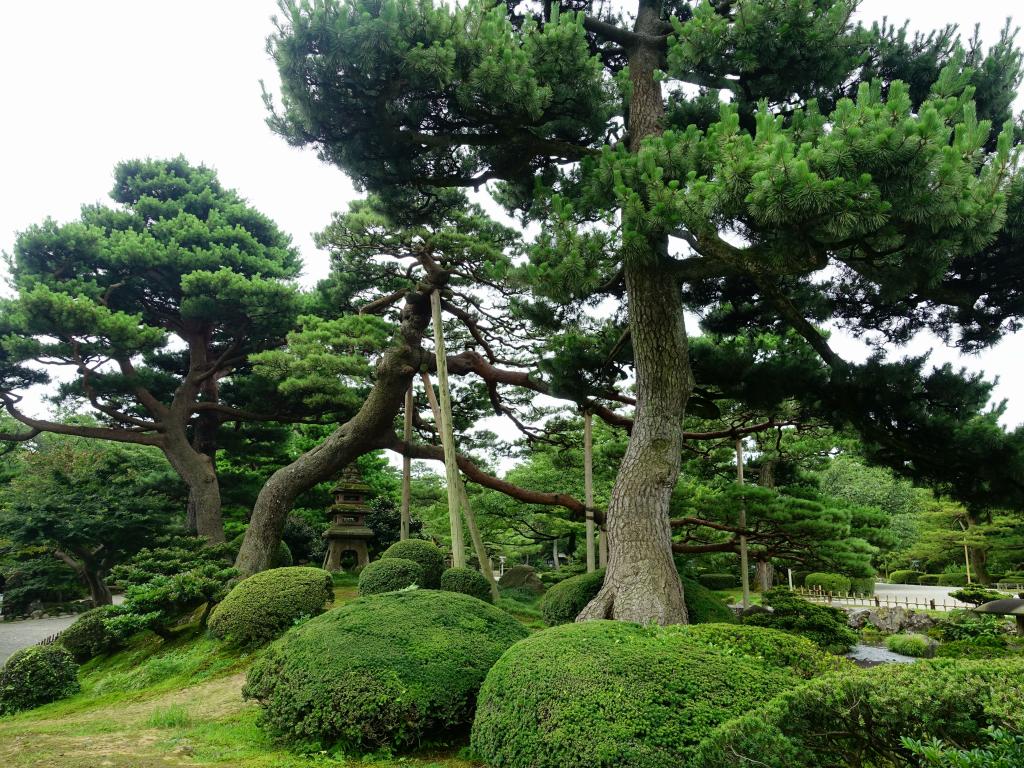 117 - 20160722 Day11 Kanazawa