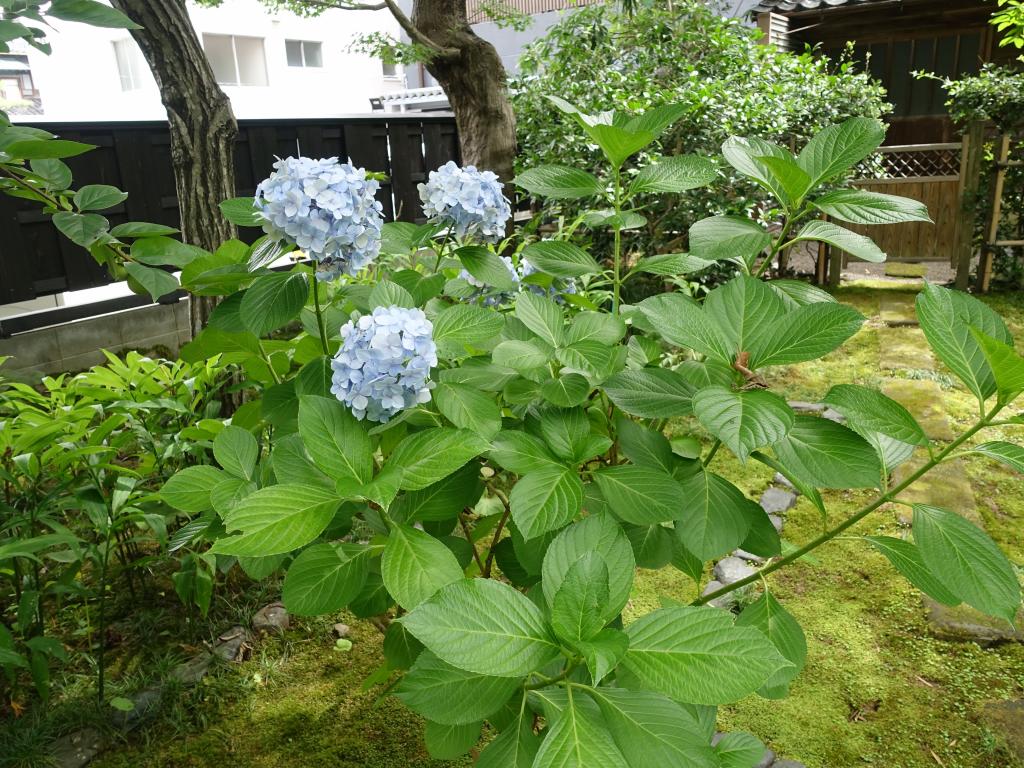 170 - 20160722 Day11 Kanazawa