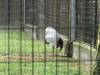 105 - 20160723 Day12 Okayama Hiroshima