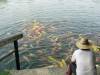 114 - 20160723 Day12 Okayama Hiroshima