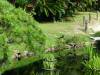145 - 20160723 Day12 Okayama Hiroshima