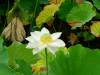 157 - 20160723 Day12 Okayama Hiroshima