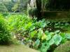 158 - 20160723 Day12 Okayama Hiroshima