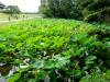 159 - 20160723 Day12 Okayama Hiroshima