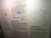 209 - 20160723 Day12 Okayama Hiroshima