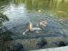 264 - 20160723 Day12 Okayama Hiroshima