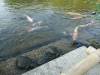 267 - 20160723 Day12 Okayama Hiroshima