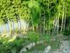 279 - 20160723 Day12 Okayama Hiroshima