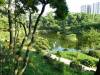 281 - 20160723 Day12 Okayama Hiroshima