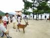 123 - 20160724 Day13 Miyajima