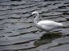 150 - 20160724 Day13 Miyajima