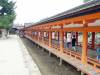 158 - 20160724 Day13 Miyajima