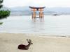 160 - 20160724 Day13 Miyajima