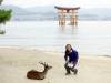 161 - 20160724 Day13 Miyajima