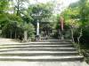 219 - 20160724 Day13 Miyajima