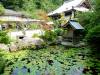 236 - 20160724 Day13 Miyajima