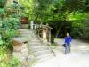 280 - 20160724 Day13 Miyajima