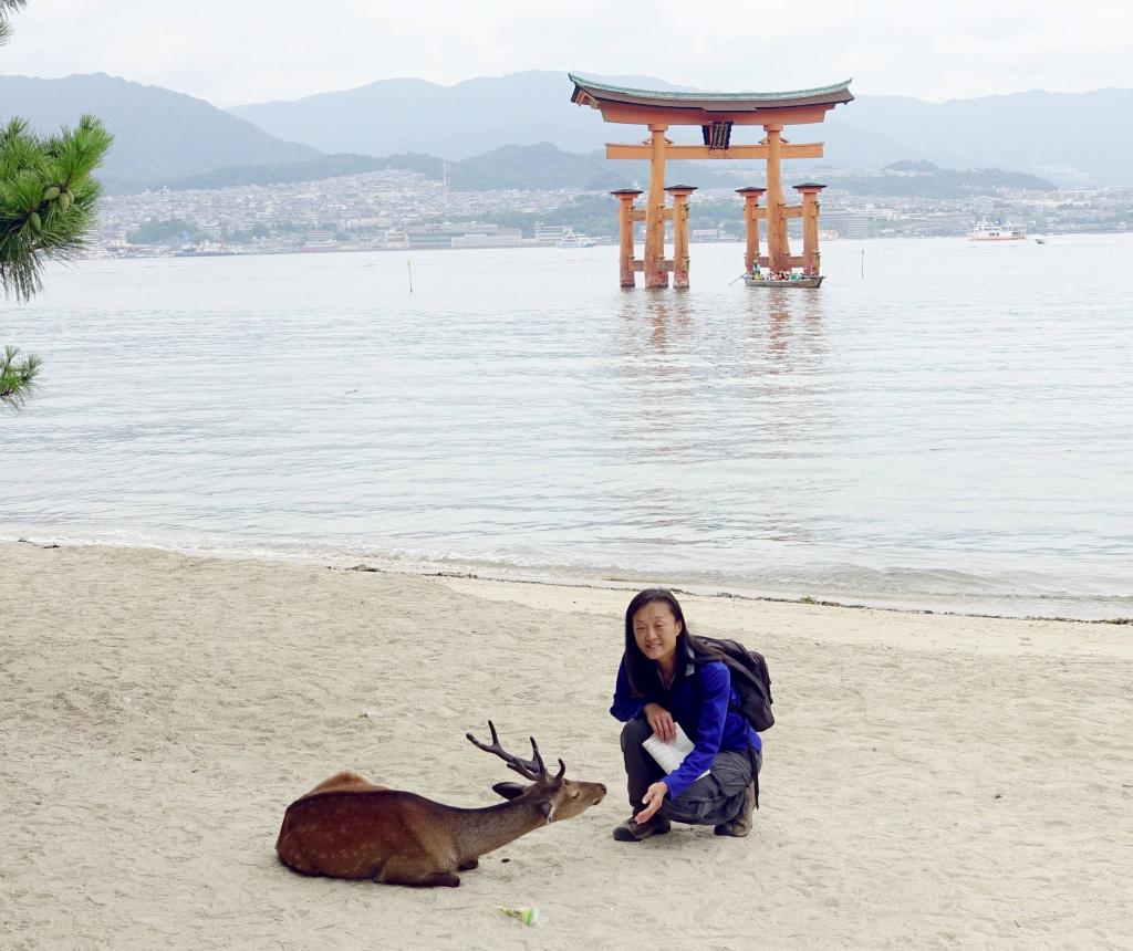 163 - 20160724 Day13 Miyajima