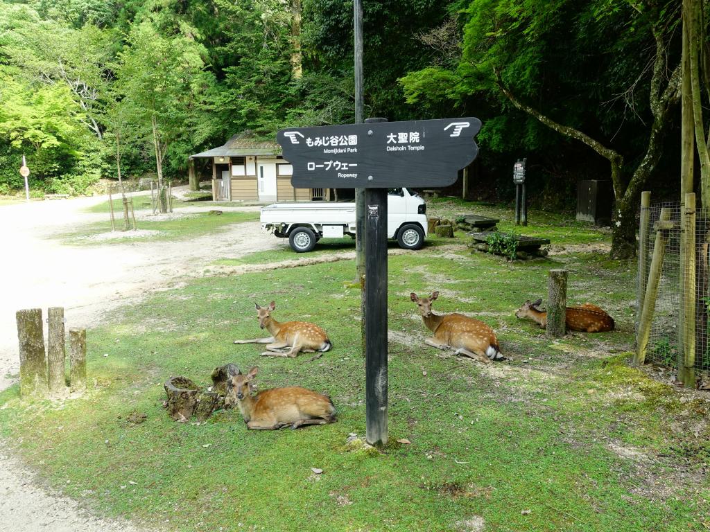 278 - 20160724 Day13 Miyajima