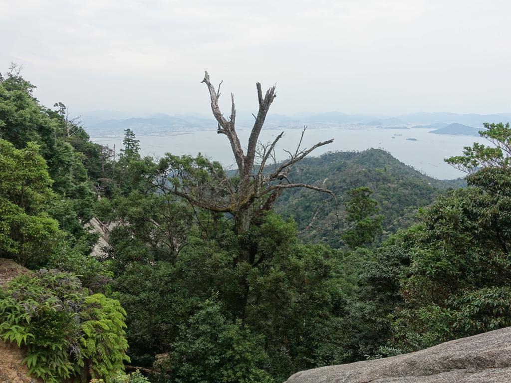 314 - 20160724 Day13 Miyajima