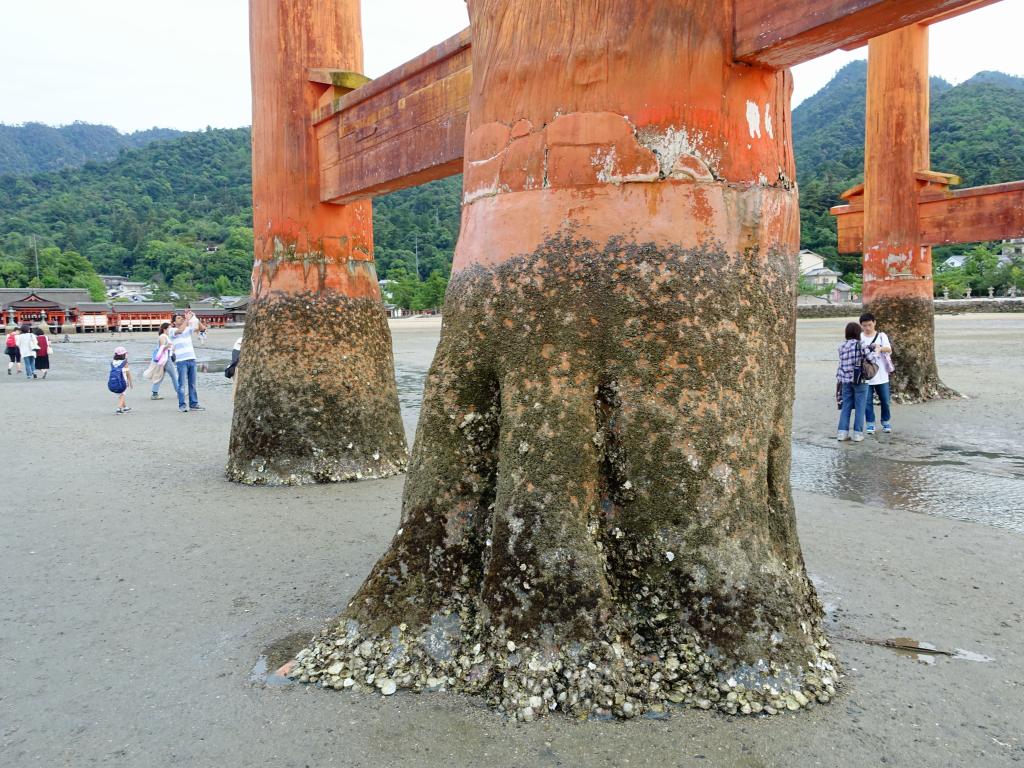 365 - 20160724 Day13 Miyajima