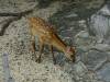 102 - 20160725 Day14 Hiroshima Osaka