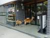 106 - 20160725 Day14 Hiroshima Osaka