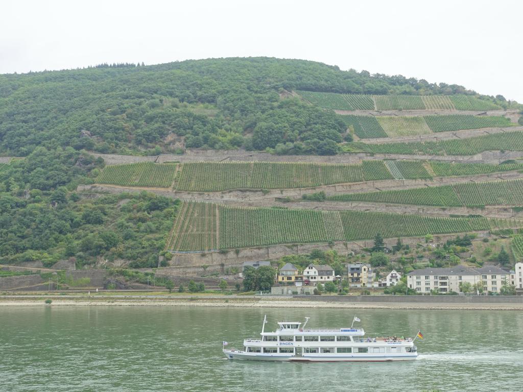 104 - 20160916 Rhine Valley