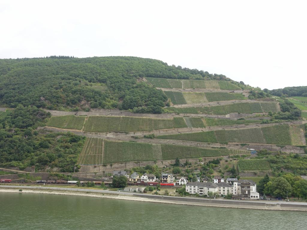 116 - 20160916 Rhine Valley