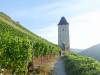 108 - 20160917 Rhine Valley