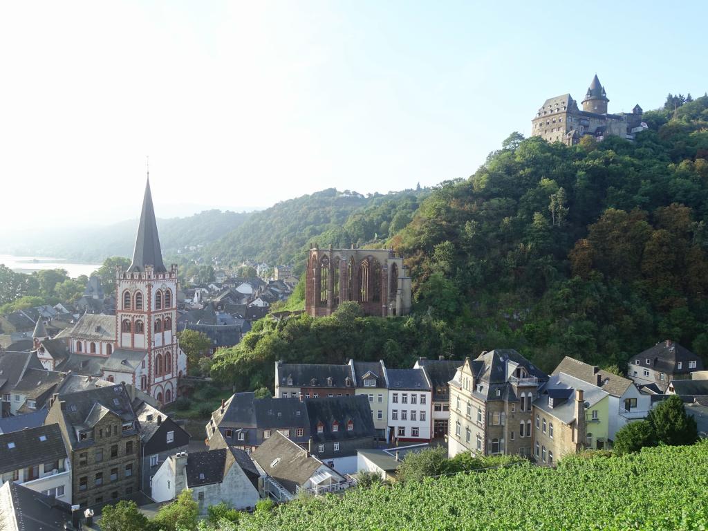 114 - 20160917 Rhine Valley