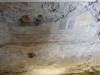 124 - 20160922 Black Forest Fuessen
