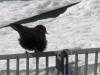 223 - 20160924 Austria Ehrenberg Zugspitze