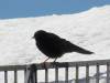224 - 20160924 Austria Ehrenberg Zugspitze