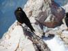 242 - 20160924 Austria Ehrenberg Zugspitze