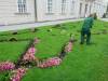 117 - 20160926 Hallstatt Nymphenburg-Palace