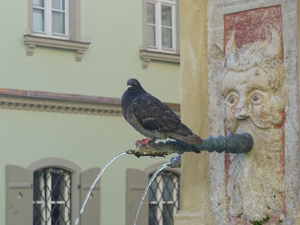 108 - 20160930 Rothenburg