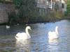 169 - 20161226 Bruges