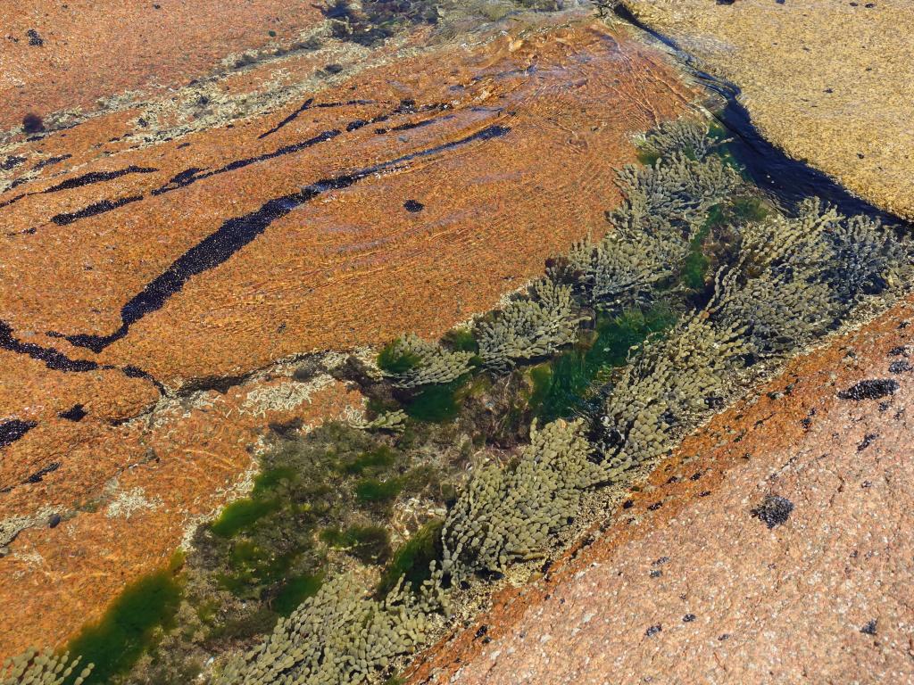 146 - 20170121 Wineglass Bay-Launceston