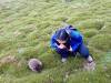 159 - 20170123 Cradle Mountain