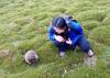 160 - 20170123 Cradle Mountain