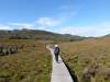 178 - 20170123 Cradle Mountain