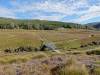 183 - 20170123 Cradle Mountain