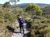 184 - 20170123 Cradle Mountain