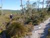 187 - 20170123 Cradle Mountain