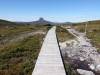 237 - 20170123 Cradle Mountain