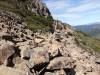 248 - 20170123 Cradle Mountain