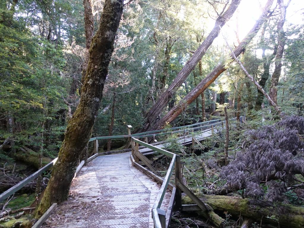 109 - 20170123 Cradle Mountain