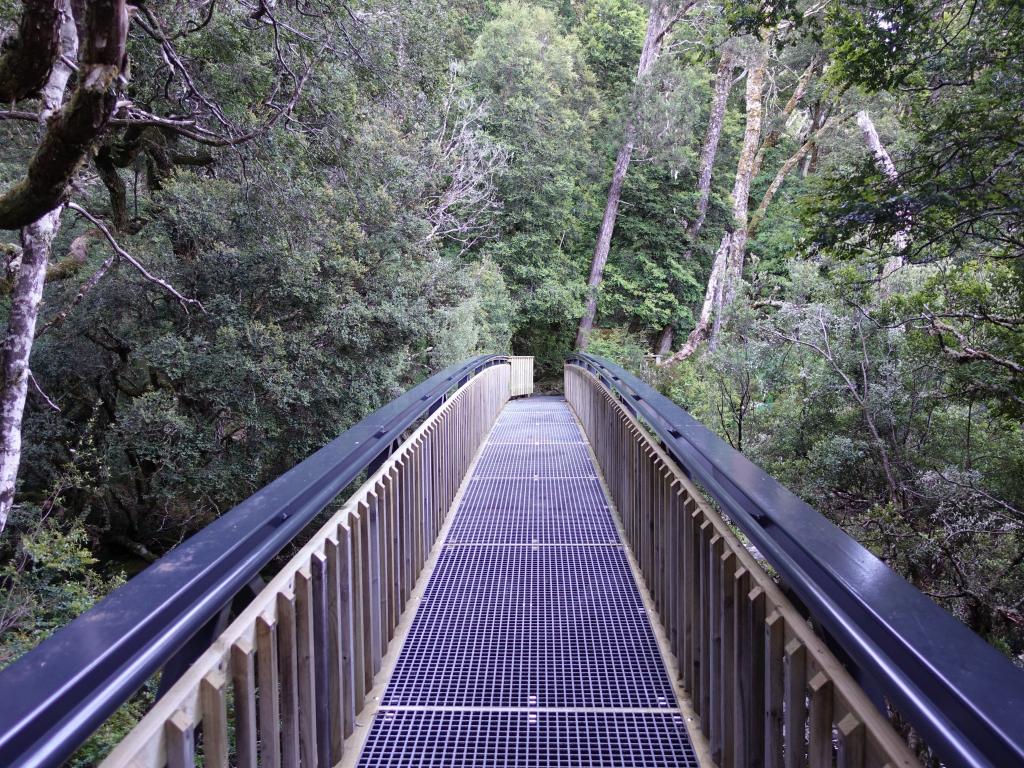 113 - 20170123 Cradle Mountain